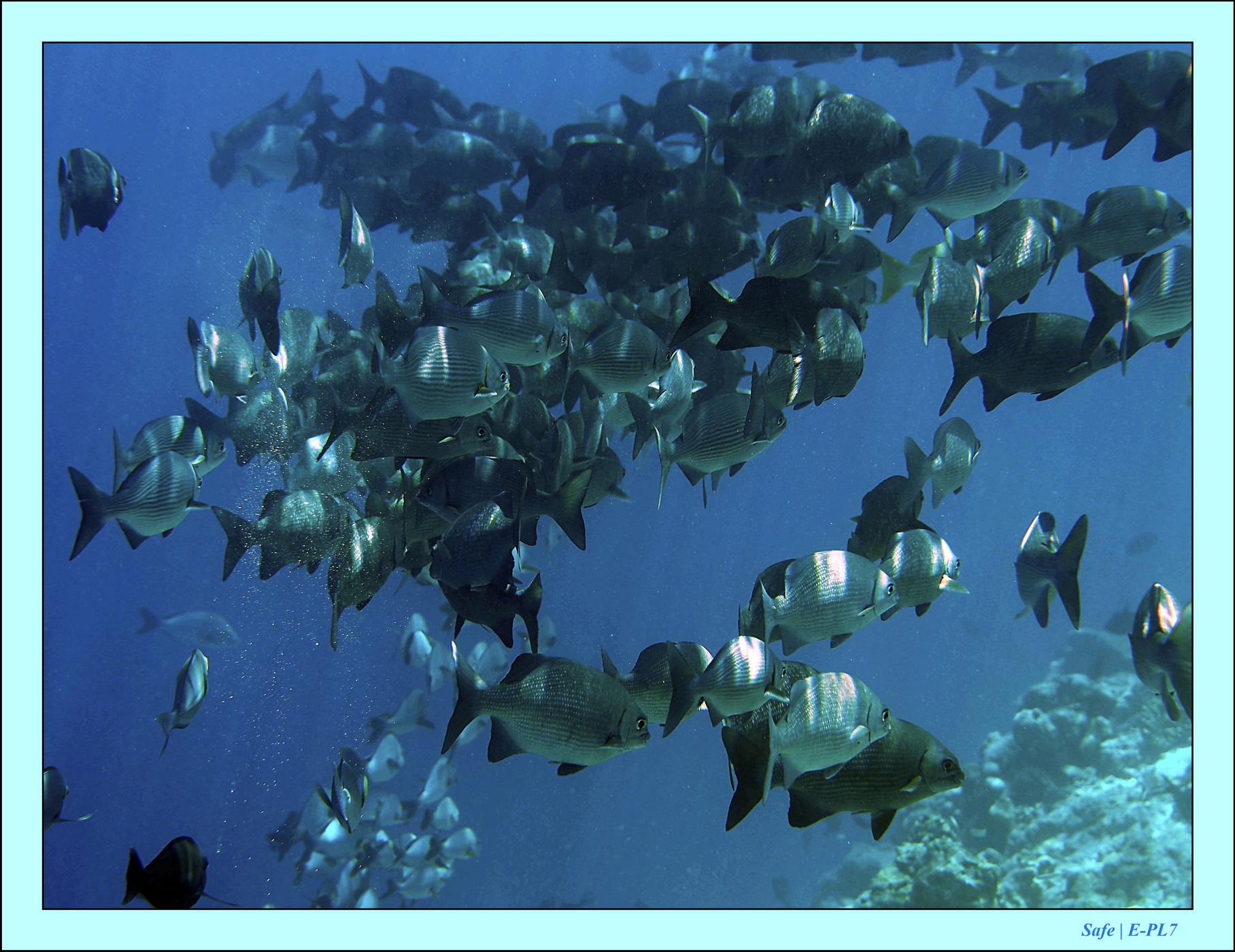 2023 - 07 - Sandies Bathala - 127